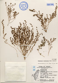 Specimen thumbnail